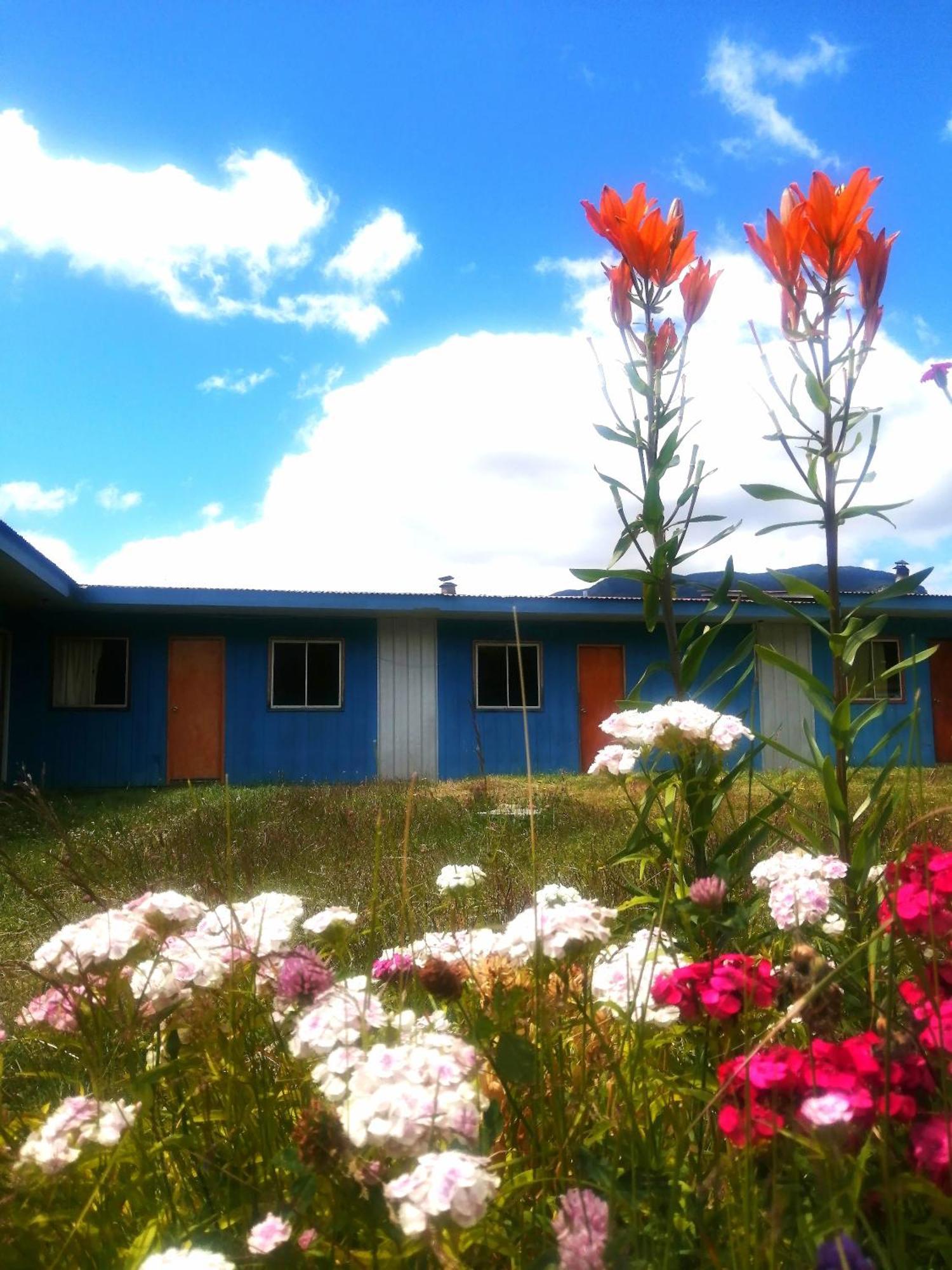 Refugio Amelia Albergue